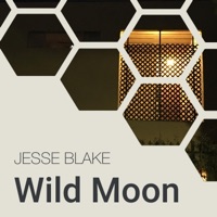 Wild Moon - Single - Jesse Blake