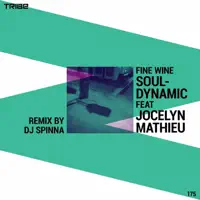 Fine Wine (feat. Jocelyn Mathieu) [DJ Spinna Galactic Soul Mix] — Souldynamic