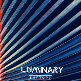 Clear My Mind (feat. Margs) Entropy