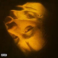 Skin - Single - Nick Ward