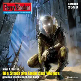 Die Stadt am Ende des Weges - Perry Rhodan - Erstauflage 2558 (Ungekürzt)