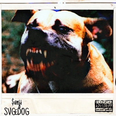 Svge Dog - Single