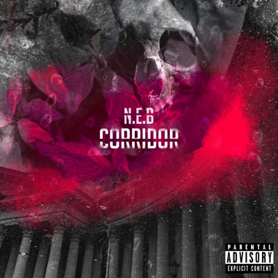 Corridor - Single