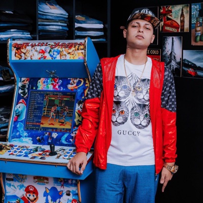 Última mega do Ano (feat. Mc Rick, Mc Ak, Mc Lil Beat, Mc Faelzin, Dj Arthuziin & Dj Lv da Inestan) - Single