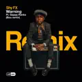Warning (feat. Gappy Ranks)
