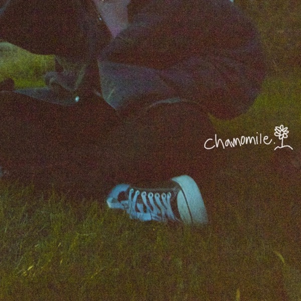 Chamomile