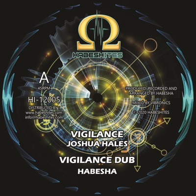 Vigilance (feat. Joshua Hales) - Single