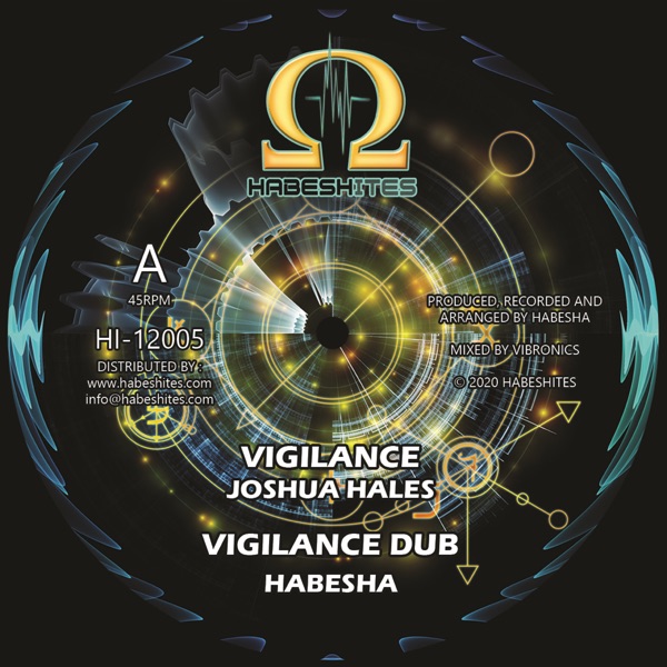 Vigilance (feat. Joshua Hales) - Single