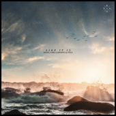 Like It Is song art