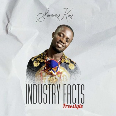 Industry Facts (Freestyle) - Single