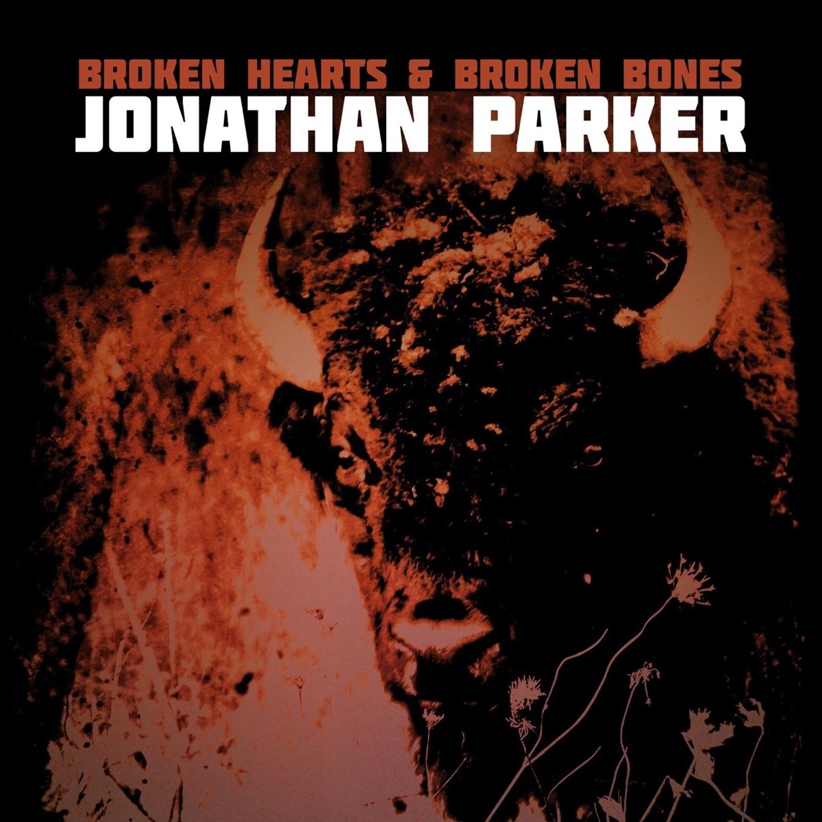 Broken Hearts and Broken Bones - Album by Jonathan Parker - Apple