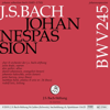 Chor der J.S. Bach-Stiftung, Orchester der J.S. Bach-Stiftung & Rudolf Lutz - Johannespassion, BWV 245 Grafik