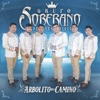 Arbolito del Camino - Single