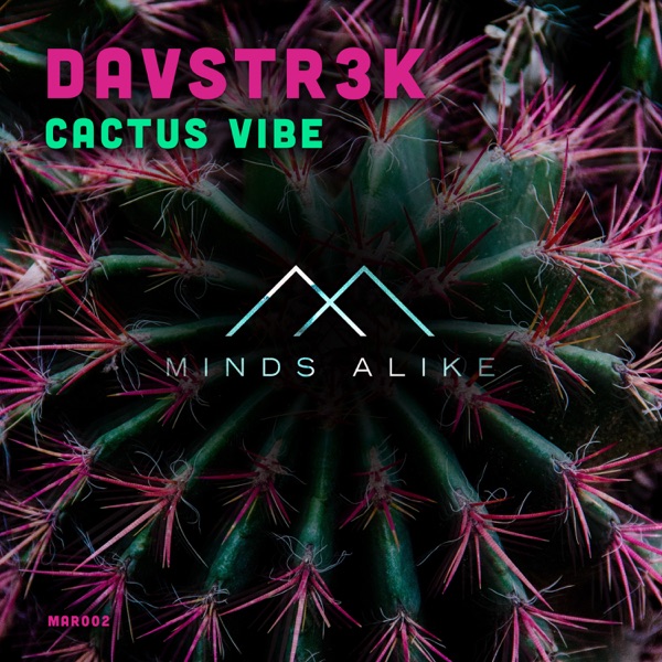 Cactus Vibe - Single