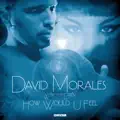 How Would U Feel [Radio Edit]