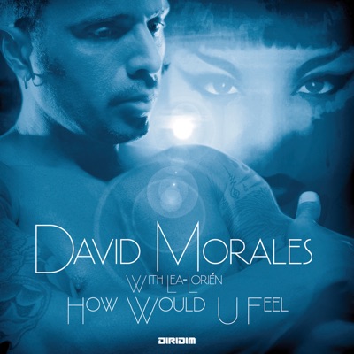 How Would U Feel (Extended Mix) artwork