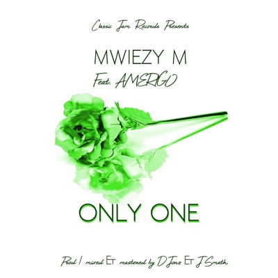 Only One (feat. Amerigo) - Single
