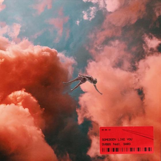Cover artwork for Somebody Like You (feat. Saro)