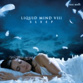 Liquid Mind VIII: Sleep artwork