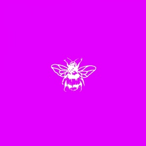 Pleasure EP