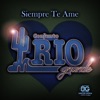 Siempre Te Amé - Single