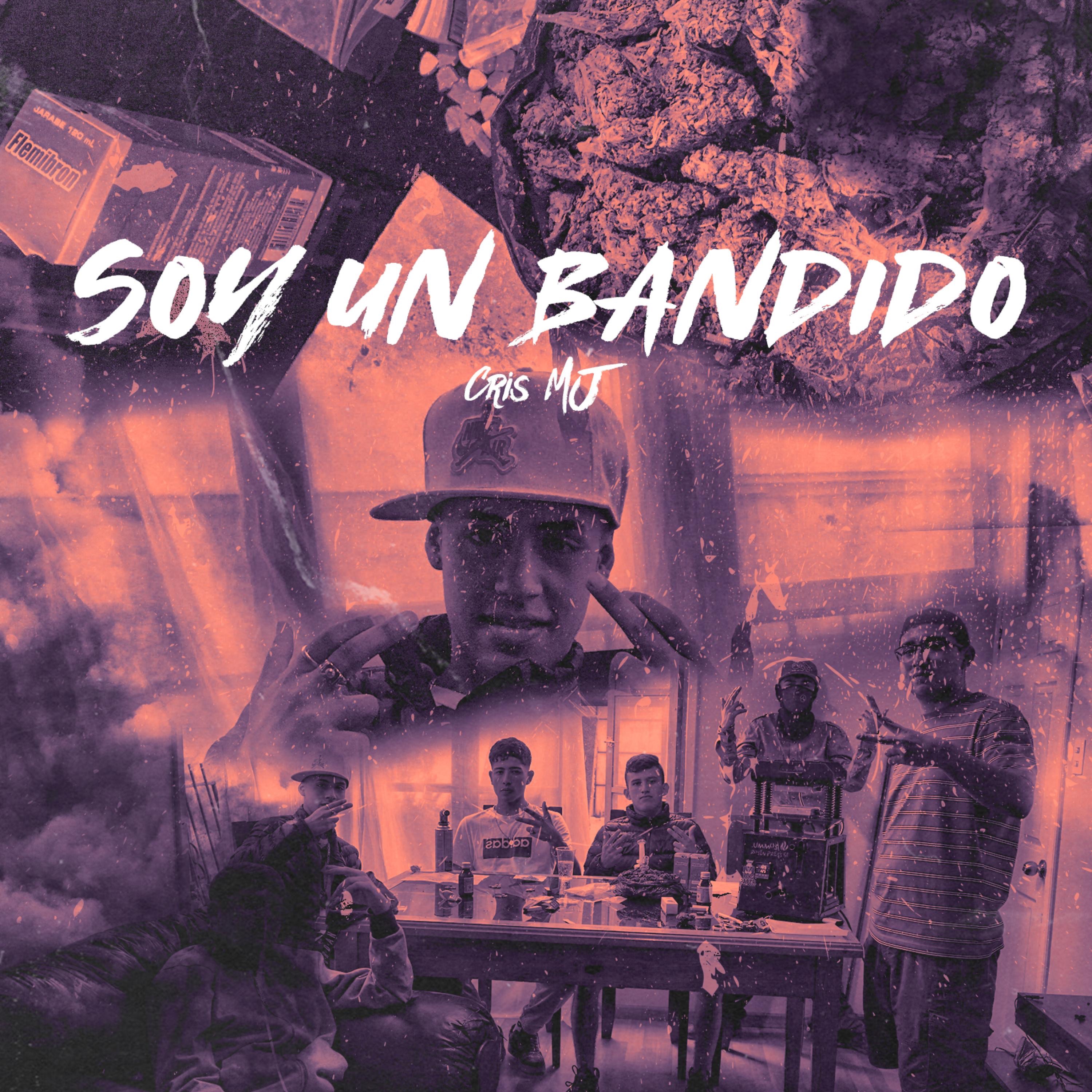 Soy Un Bandido - Single