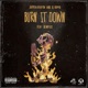 Burn It Down feat Demrick Single