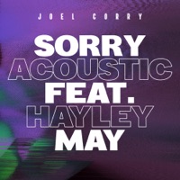 Sorry (Acoustic) [feat. Hayley May] - Single - Joel Corry