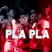 24 FOGON (PLA PLA PLA) dico en la casa (feat. DICO EN LA CASA, EL CHICO TRUENO, CEREBRO GANG & ROLIN FLOW) - Single - MAICOR MUSIC