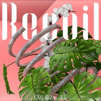 Recoil - Single - Colson XL