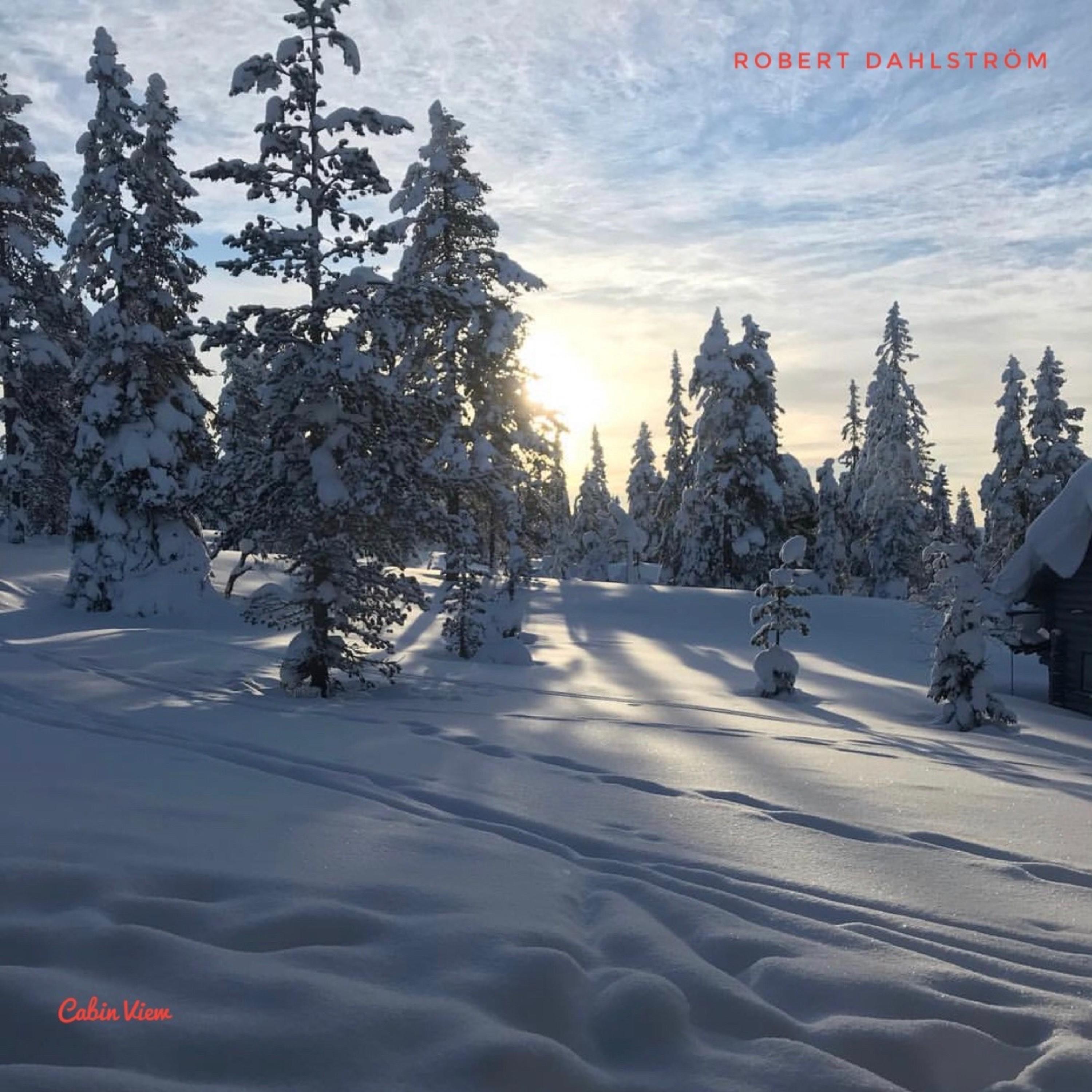 Cabin View - Single