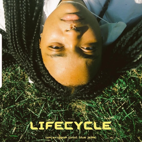Lifecycle (DEMO)