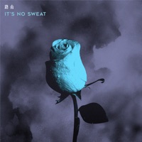 It's No Sweat - Single - 路南
