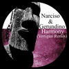 Harmony (Vertigini Remix) - Single