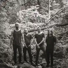 聆聽 The Animist、觀看音樂影片、閱讀小傳、查看巡演日期等！