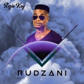 Rudzani artwork