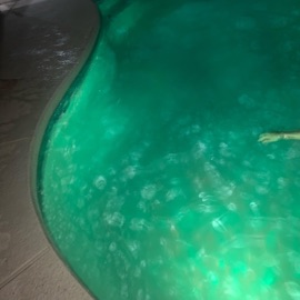 NOT Sorry Thepoolboi & Bhrisbran