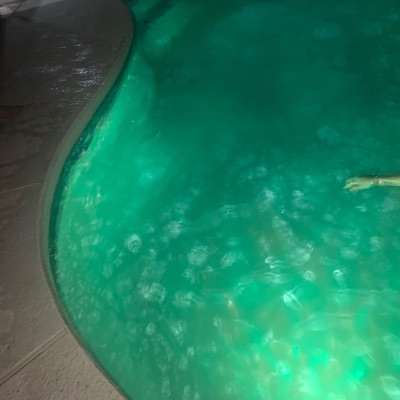 Idkhowtoswim - Single