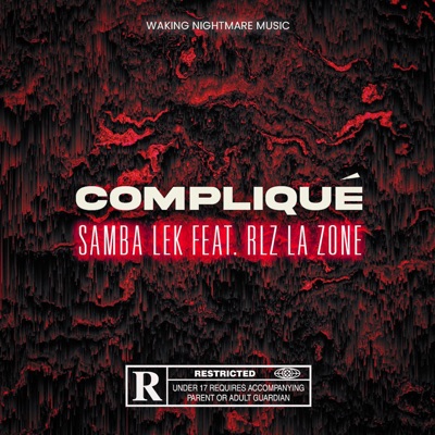 Compliqué (feat. RLZ LA ZONE) - Single