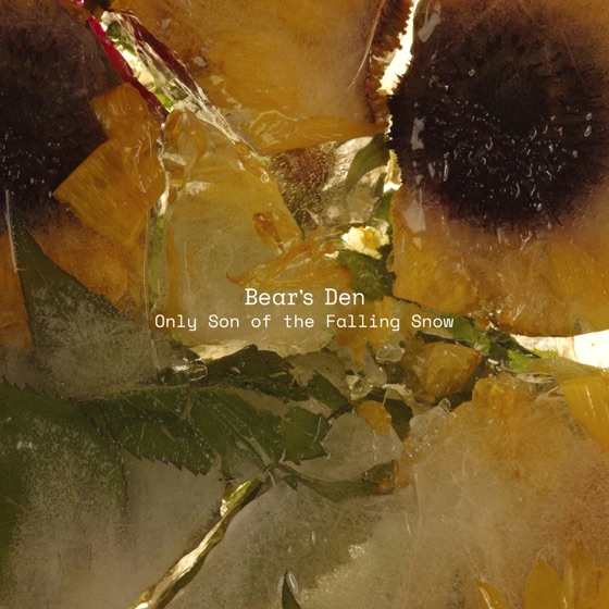 Cover artwork for Only Son of the Falling Snow