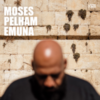 Juli-Moses Pelham