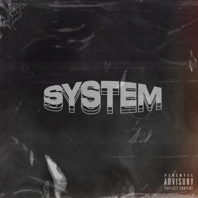 System - Single