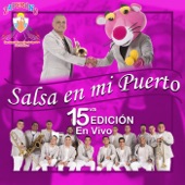 Salsa en mi Puerto 15va Edición (En Vivo) artwork