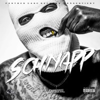 Schnapp - Single - DIMMIE