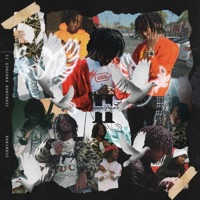 IceBirds Project II - Icebirds