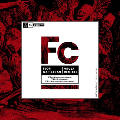 Vruja Remixes - Single