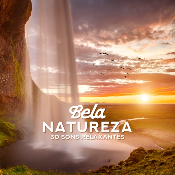 Bela Natureza - 30 Sons Relaxantes da Natureza com Fundo de Música New Age: Oceano, Rio, Pássaros, Chuva, Cascata
