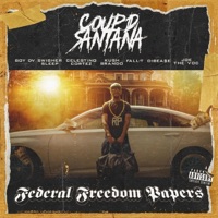 Federal Freedom Papers - Coup D Santana