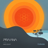 Insight - Single - Praana