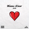 Wanna Know - Single